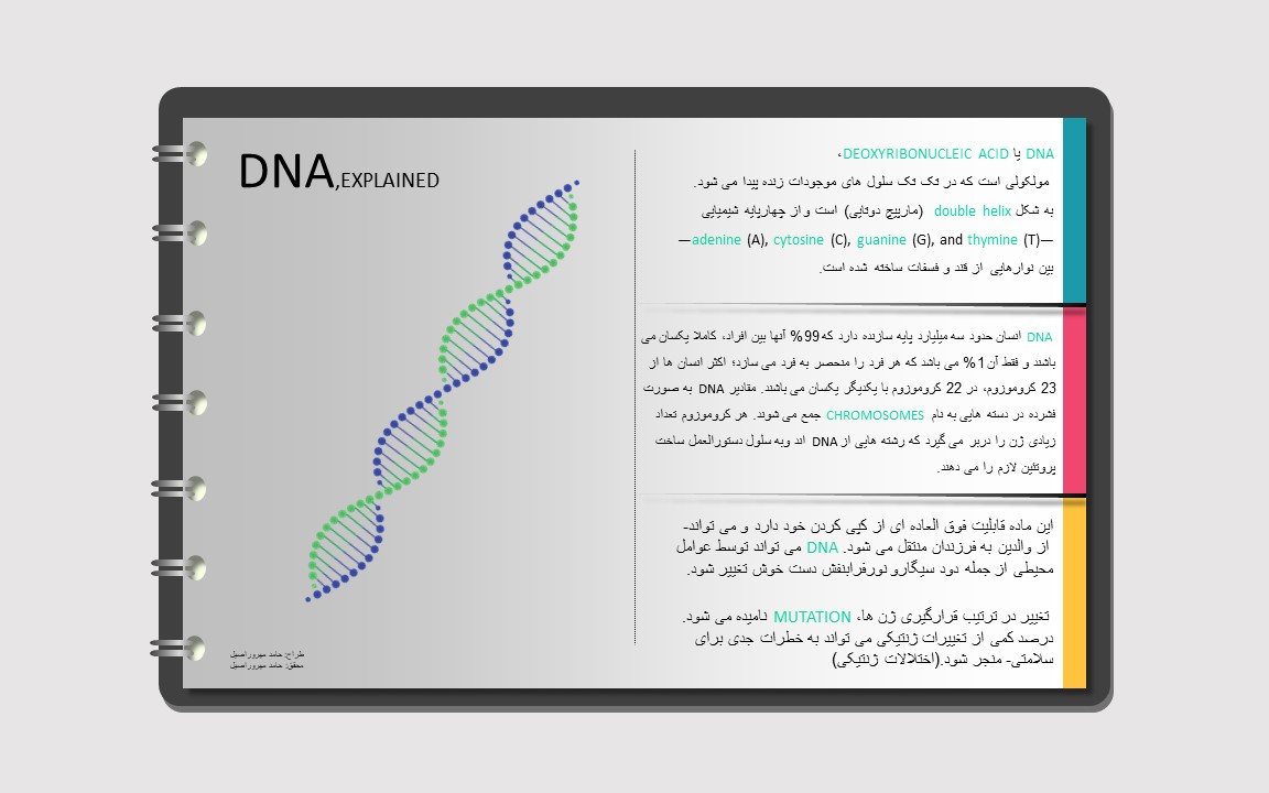 DNA infography